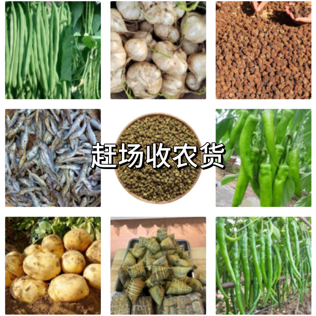 【退伍阿飞干货】现称现选干辣椒花椒鱼虾花生南瓜干笋姜蒜