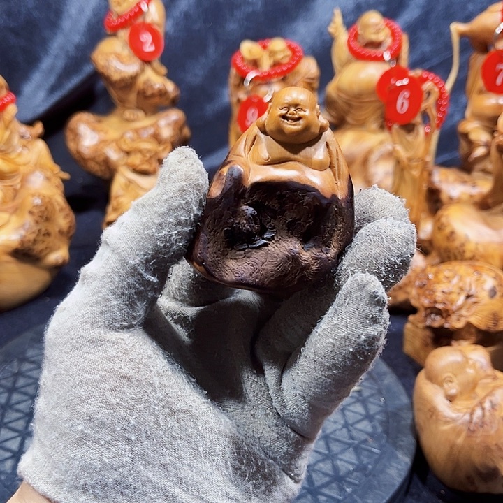 柏木（崖柏）乐乐29