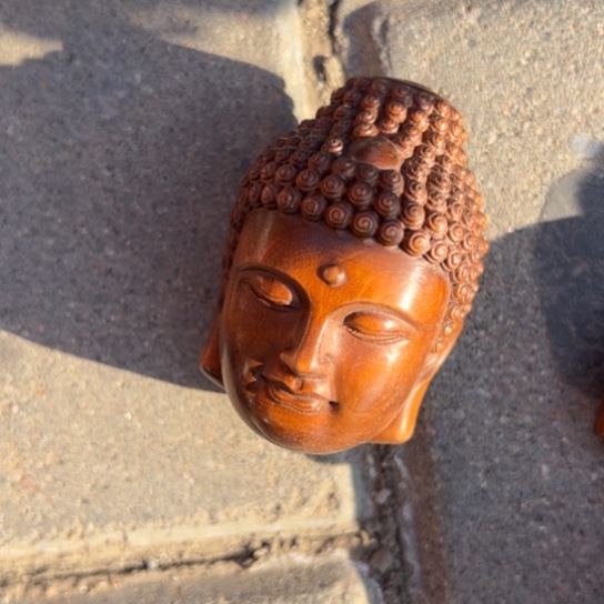 木一念之间直播间截图给黄杨