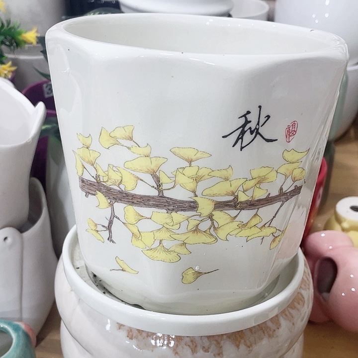 花盆花盆花盆满12包邮