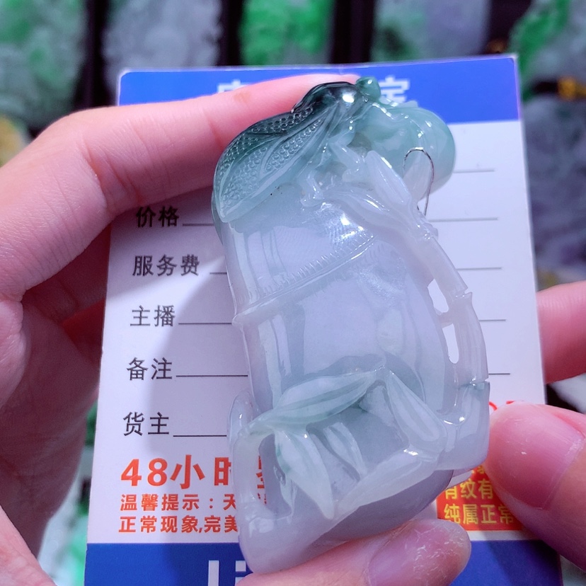 【闪购商品】翡翠颈饰未镶嵌挂件