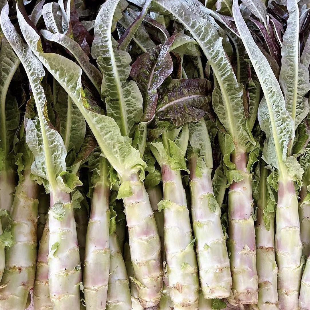 生态种植，无农残莴笋，现摘现发，当季新鲜火锅蔬菜