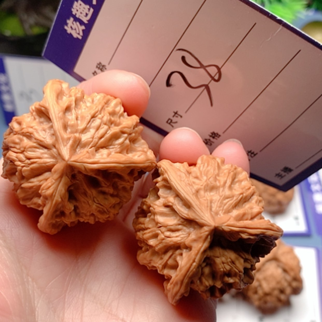 【闪购商品】文玩核桃把件三棱