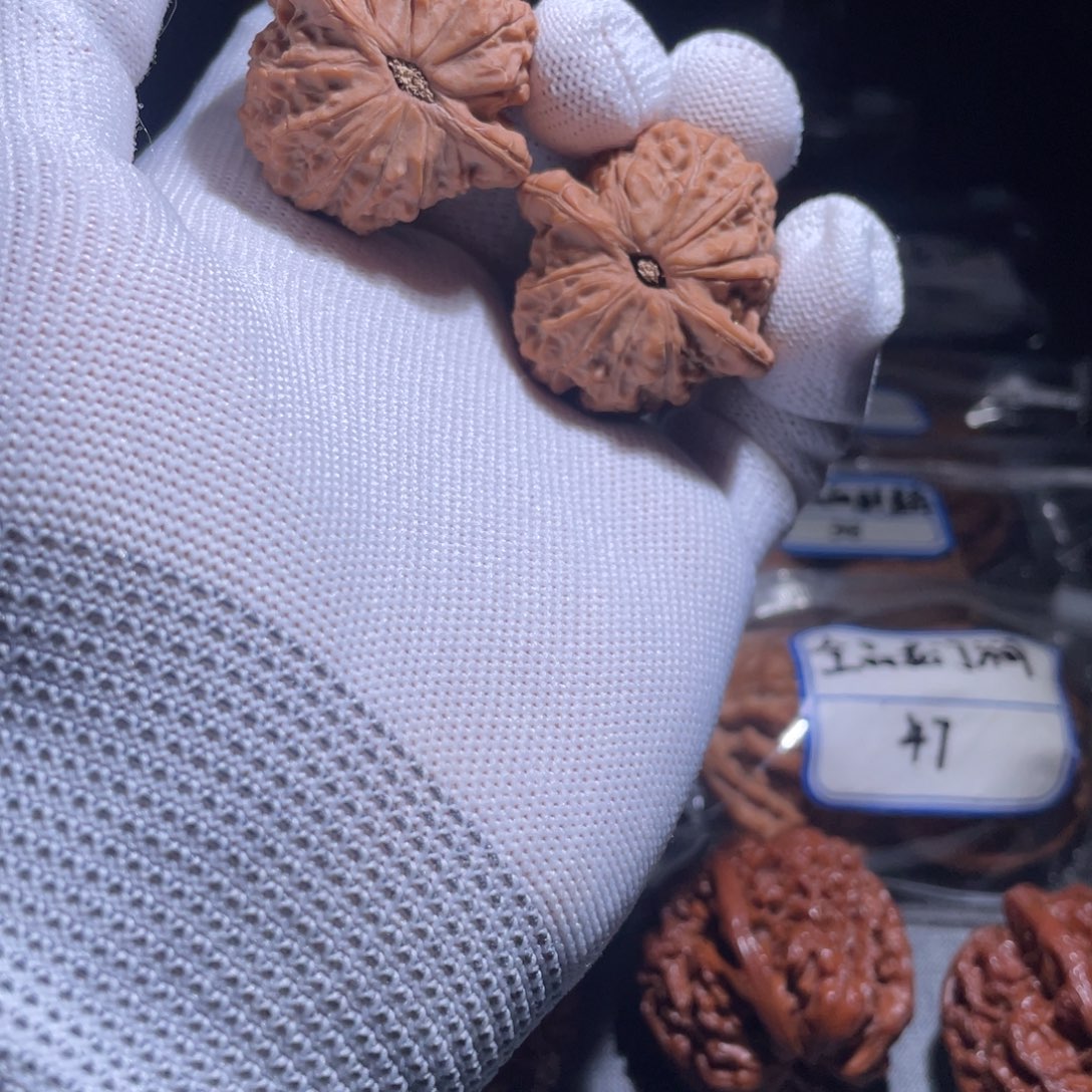 煎**饼37 全品血麒麟！！！！！！！！！！！！