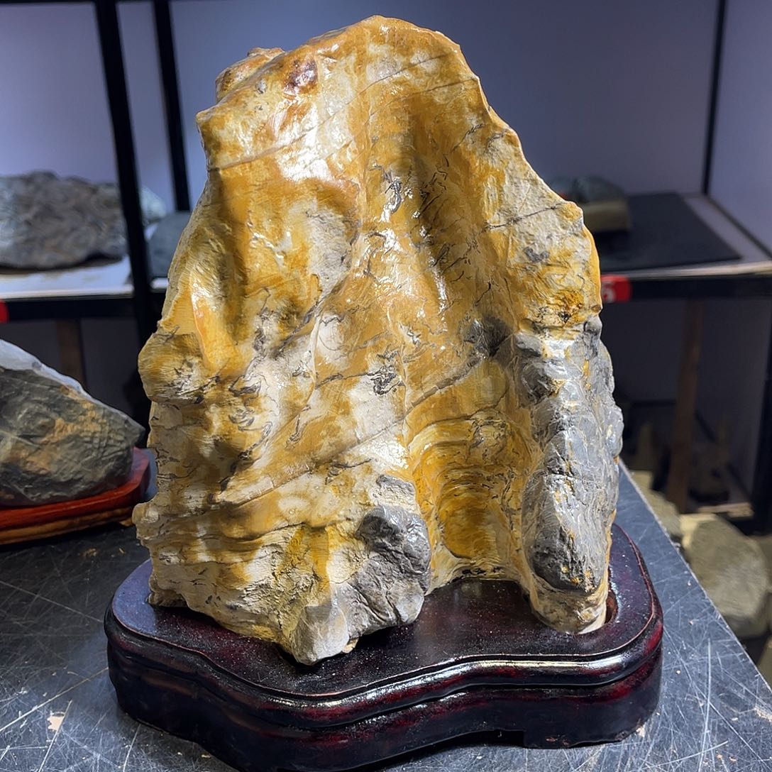 紫砂我也想说我不爱你们?****?