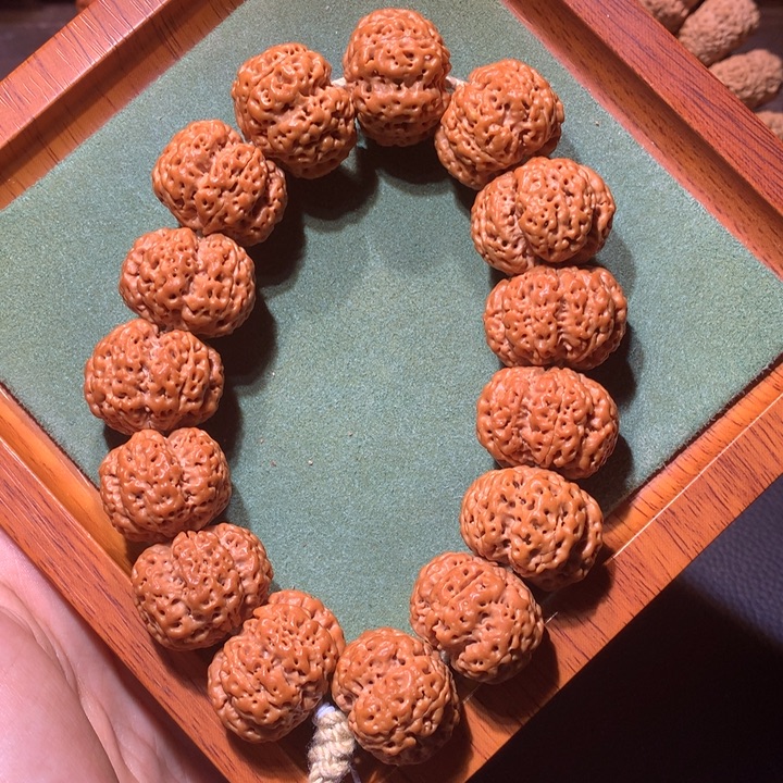 金刚菩提手串24+五面龙梅花