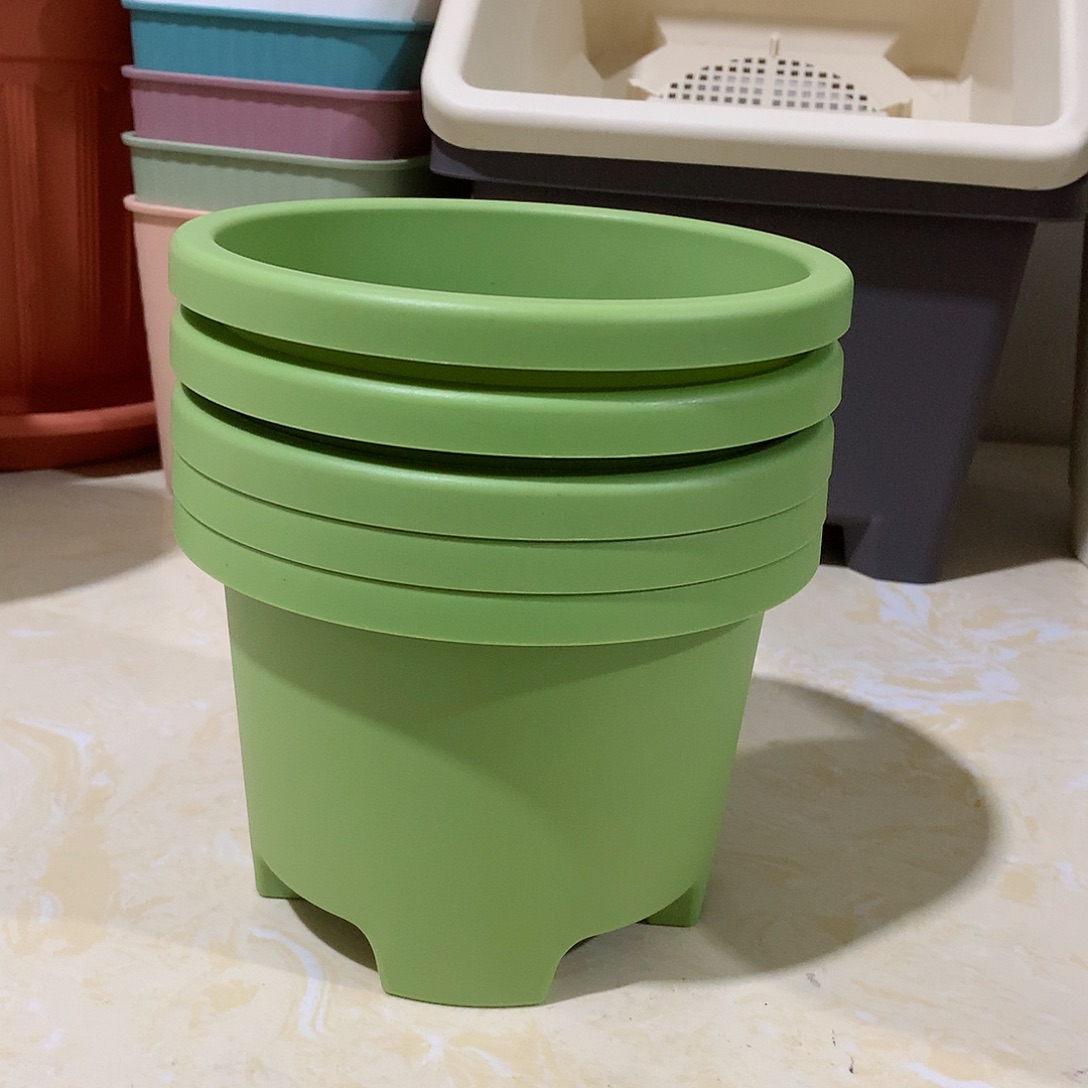 树脂球根口17果绿5个无托