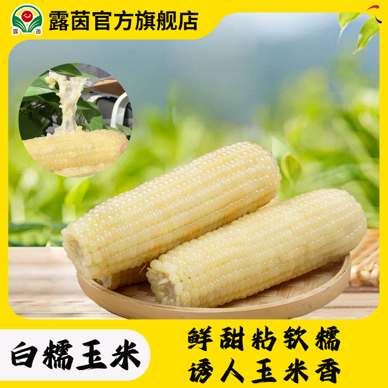 【露茵】 嫩白糯200g/根 香甜 非转基因 当季优质农产品早餐新鲜