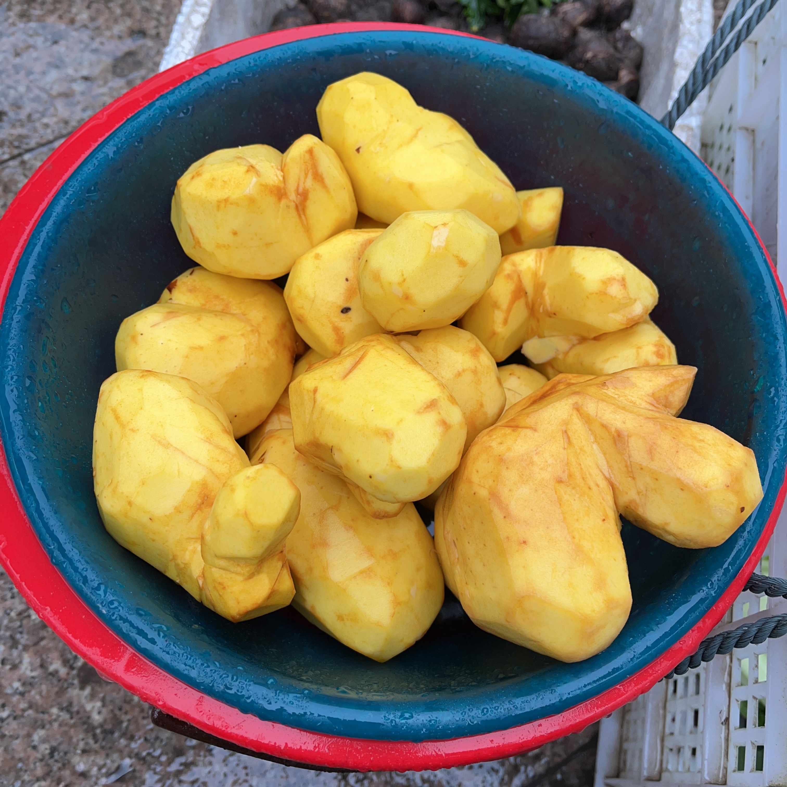 【寿宁特产】去皮真空黄独煲汤炖鸡鸭骨头汤