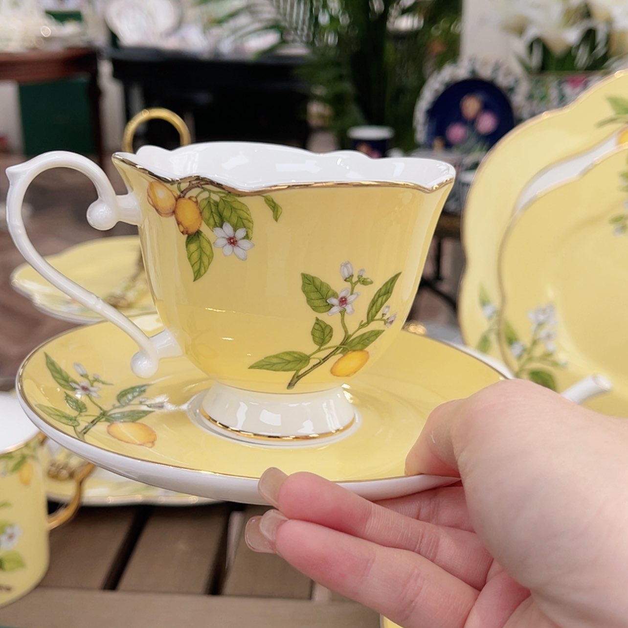 【闪购商品】瓷片———————————