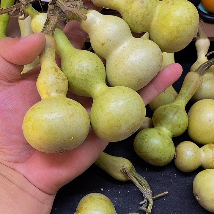 飞*长嘴哈哈哈哈哈哈哈哈哈哈哈太