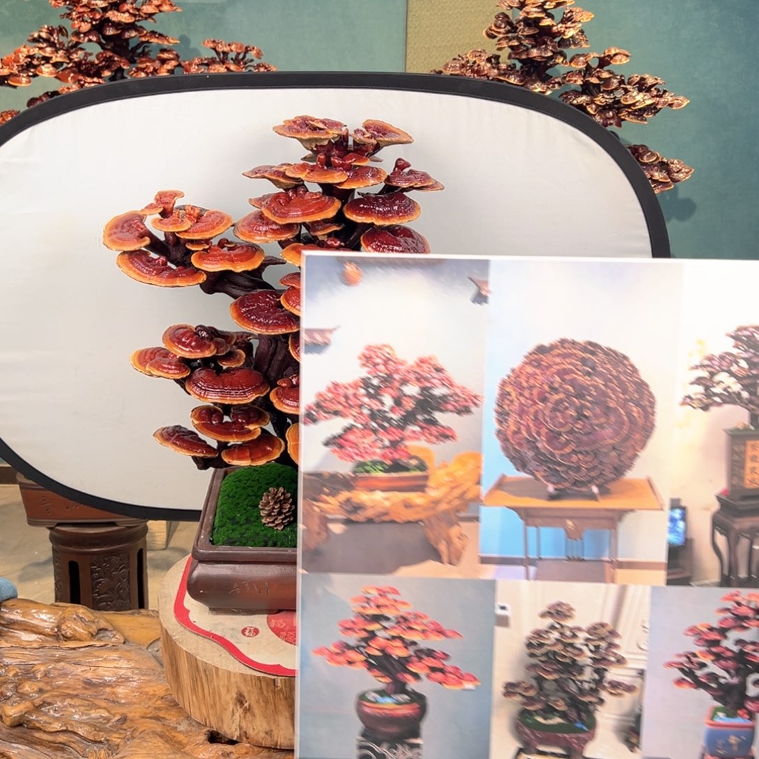 无花朵888889988888