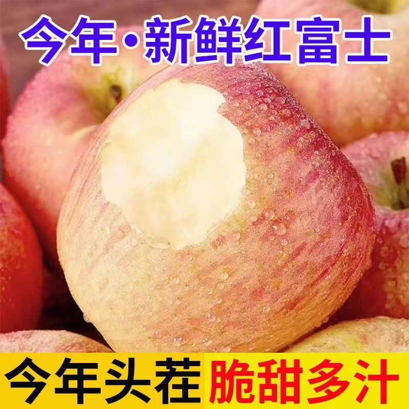 红富士苹果现摘当季新鲜脆甜多汁水果产地直发包邮