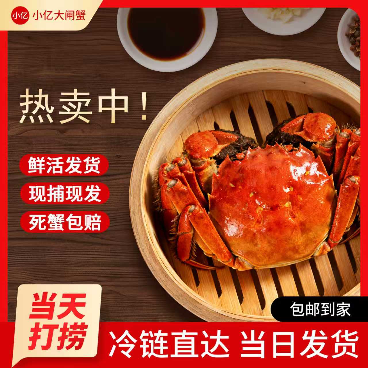 1【活蟹现发】江苏精品大闸蟹 公3.6-3.3母2.6-2.3两 到手8/10只