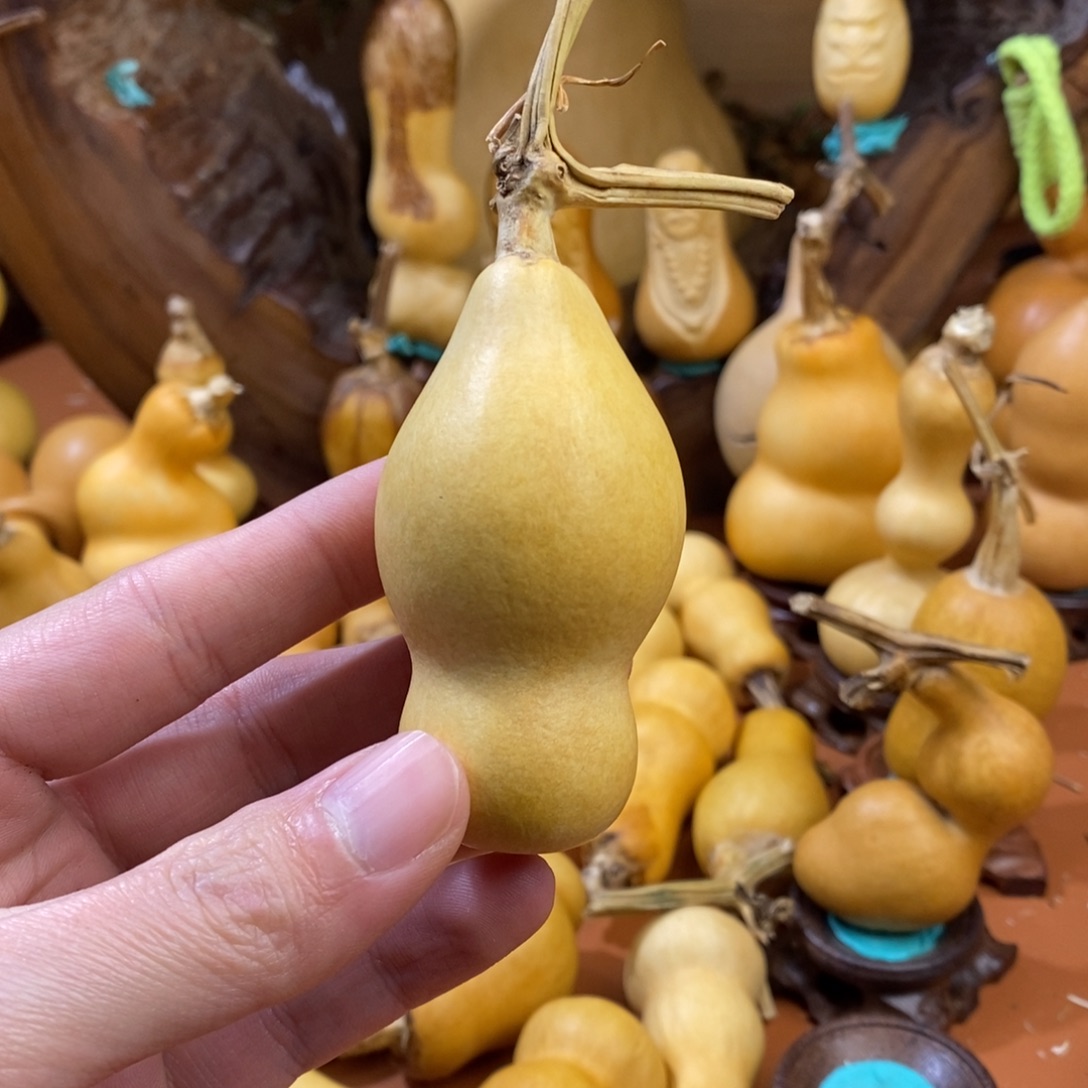 *****教练教练咯你啦啦啦啦