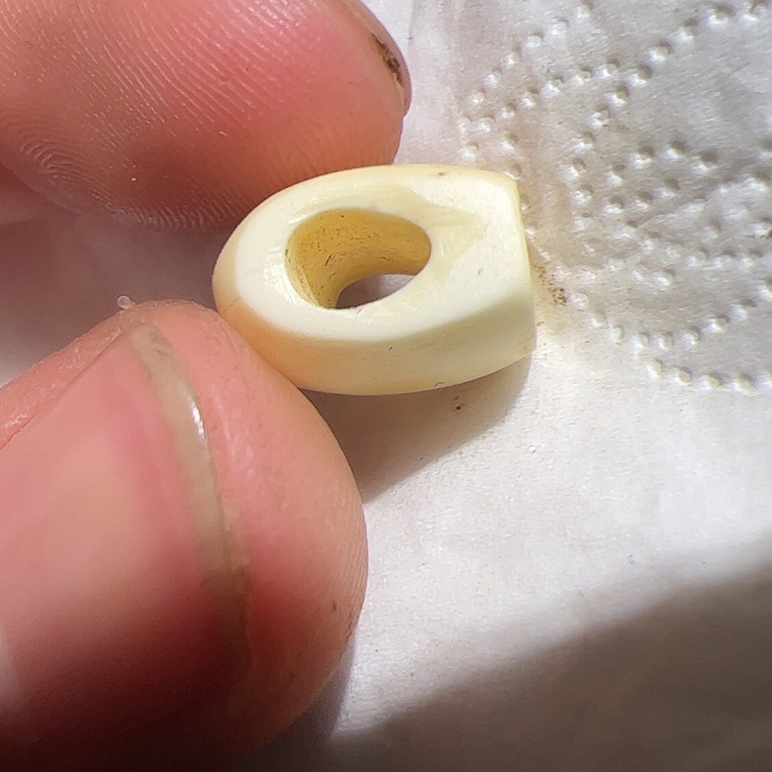 香榧木你的时候你