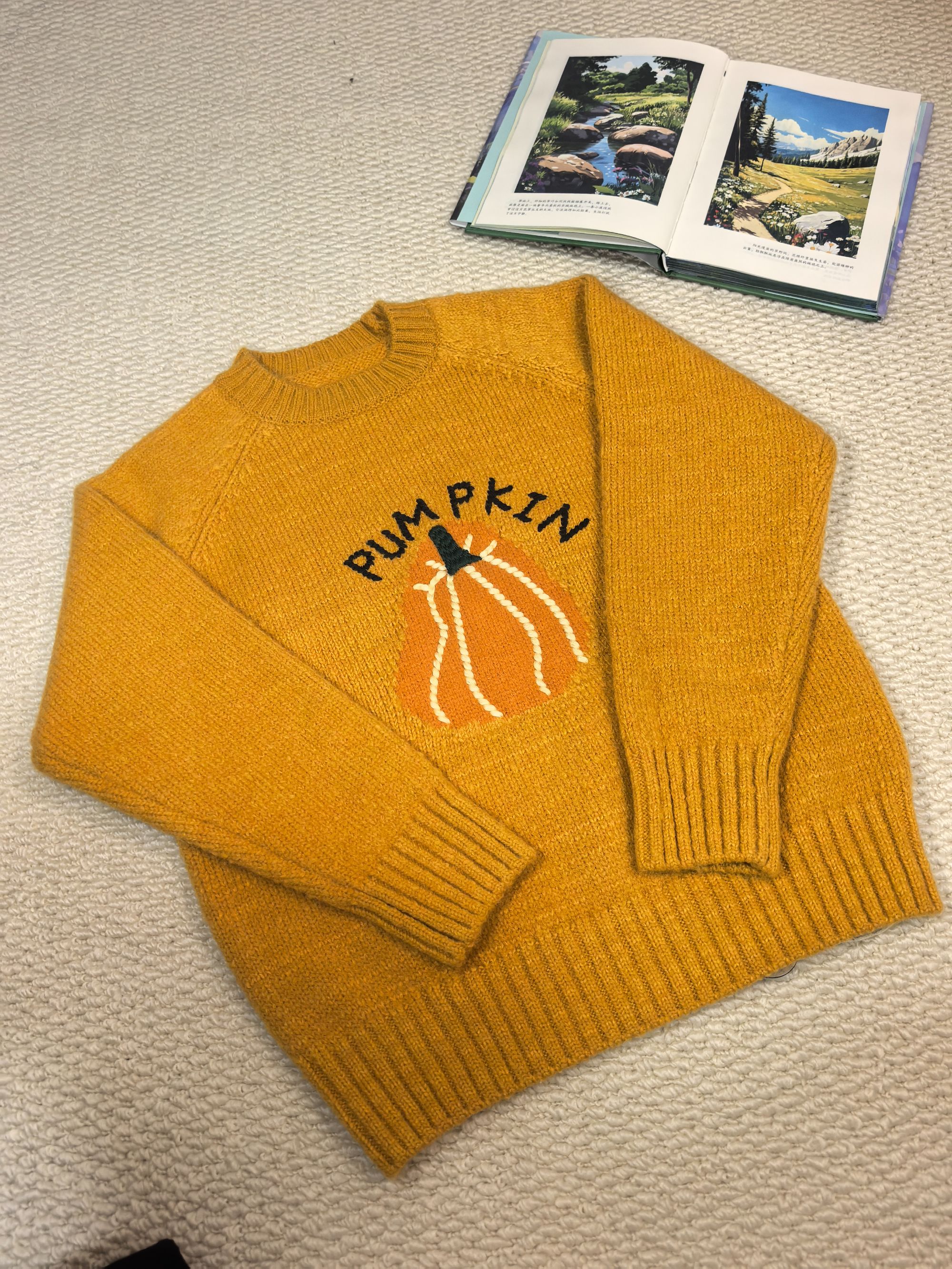 儿童毛针织衫秋冬新款针织刺绣圆领长袖韩版上衣男女宝宝休闲毛衣