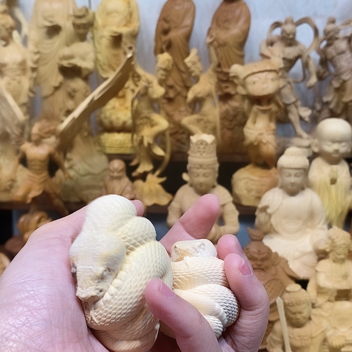 黄杨木黄杨木瑕疵蛇