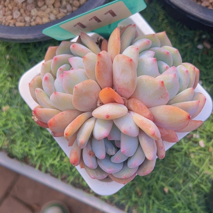 健健康康平平安安