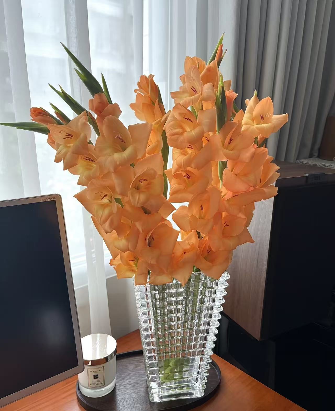 大橘大利剑兰  （实物以直播间为准）