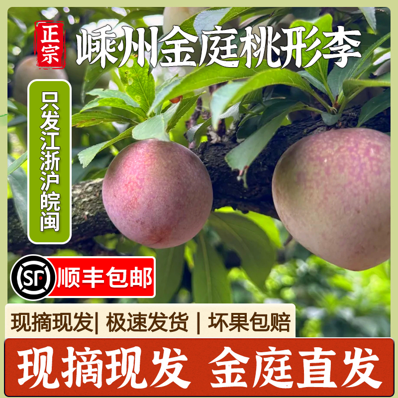 正宗浙江嵊州金庭桃形李李子红心李大果礼盒装顺丰现摘新鲜桃型李