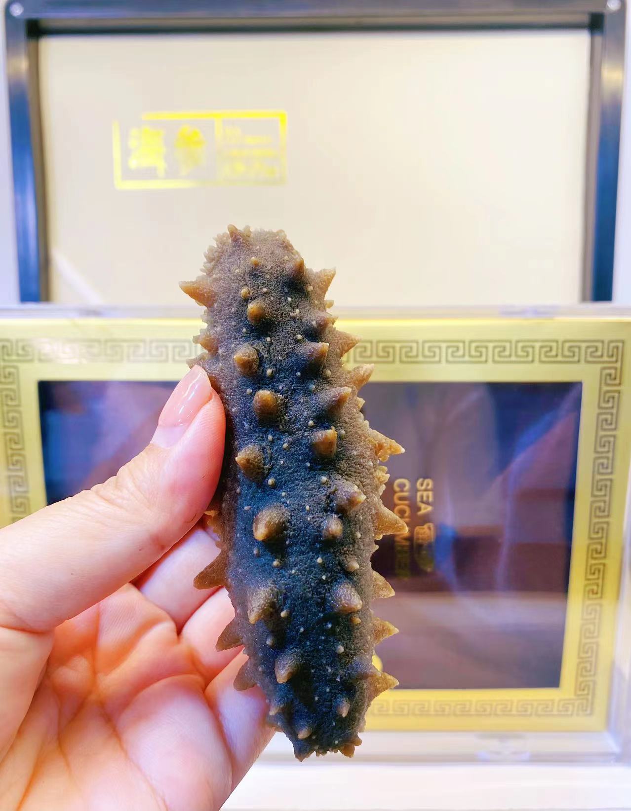 10头  500g   蒸食工艺  即食海参 蒸食工艺  大连辽刺参