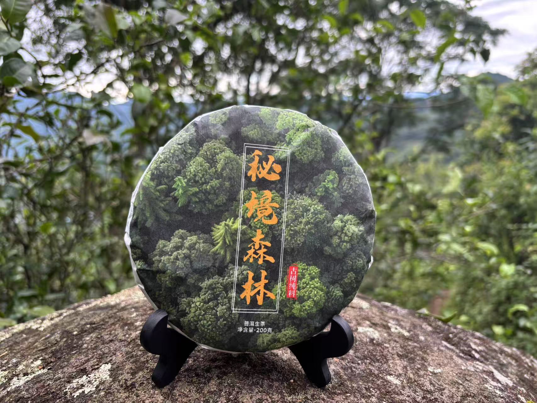 2017年头春头采秘境森林