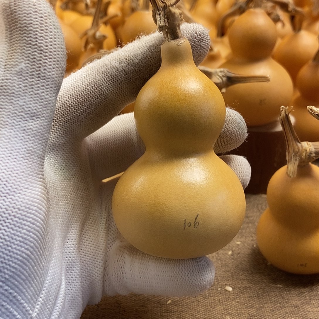 文玩葫芦 完美主义者 慎拍106