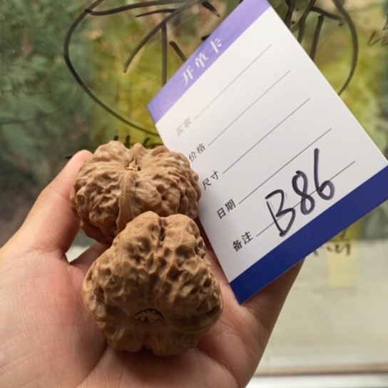 向***葵把件文玩核桃40蛤蟆头