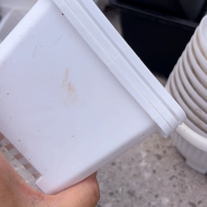 白方口11高8一组30