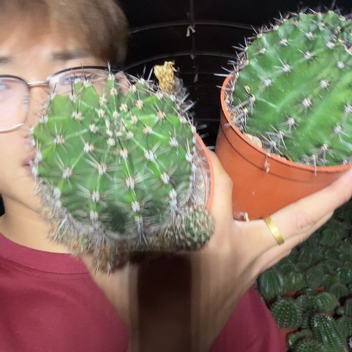 ****愁无花朵彩草哈哈哈哈哈哈哈