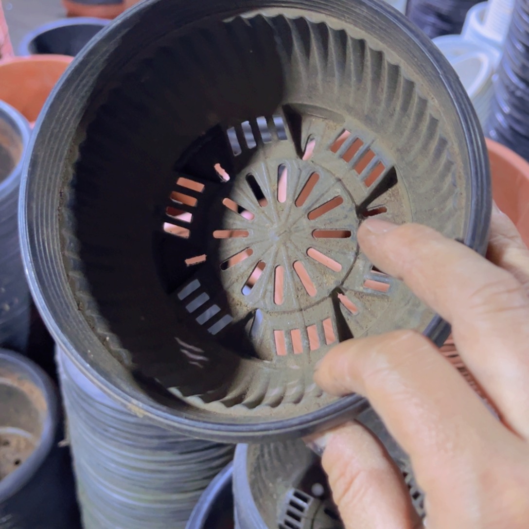 塑料旧14公分黑聚宝盆高8。 20个