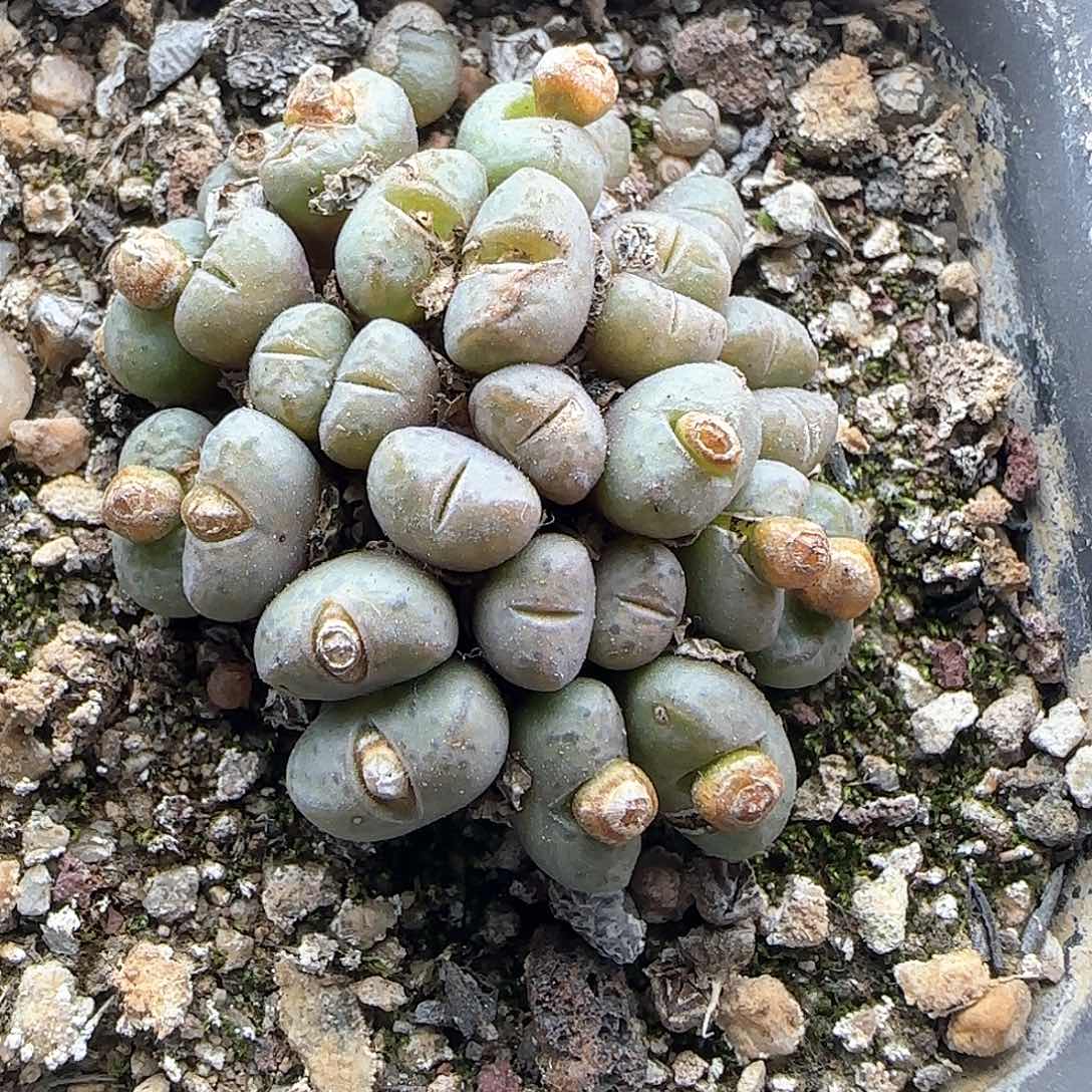 王*水听了哈哈哈哈23696