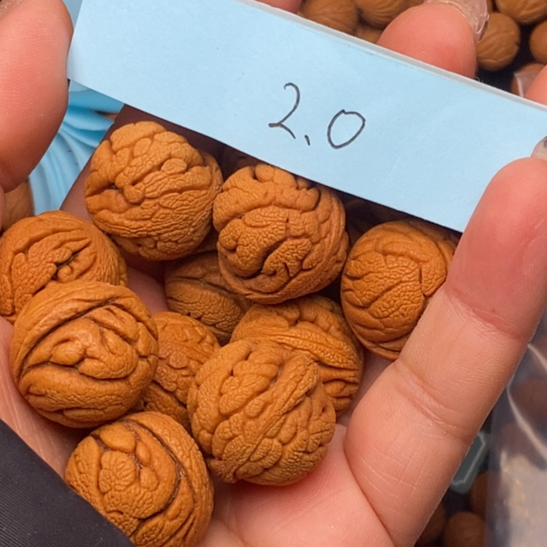 秦岭龙纹桃核13颗