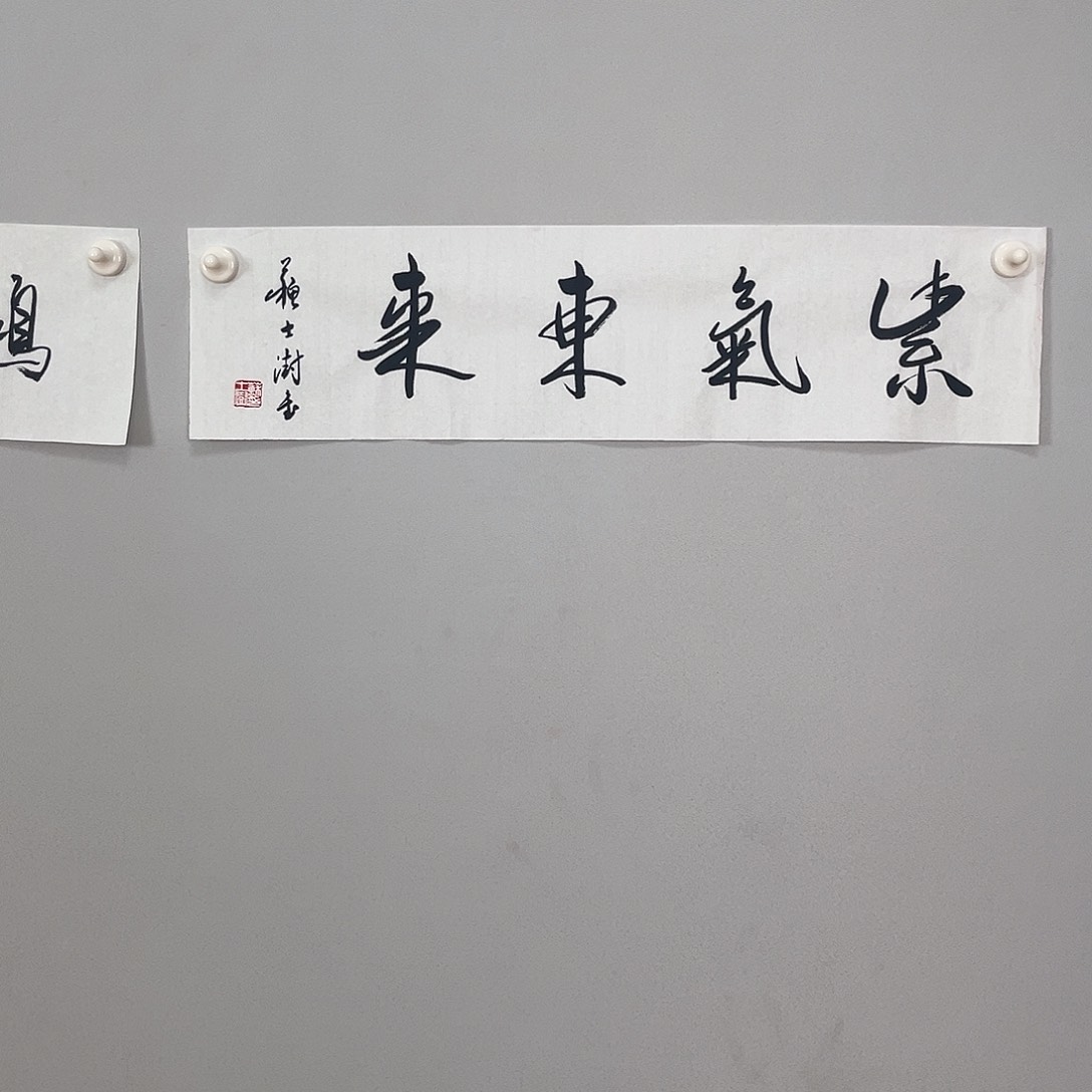 书法苏老师书法作品