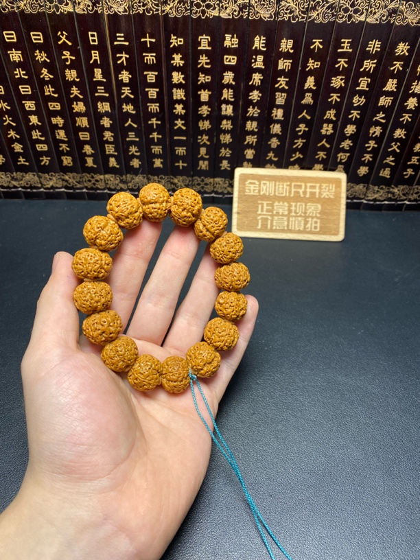 新品金刚菩提（1号）