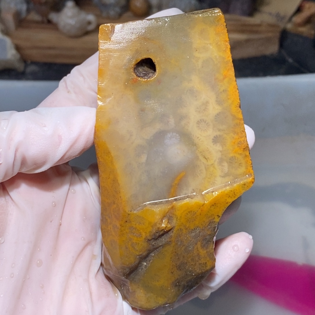 【闪购商品】硅化玉颈饰未镶嵌