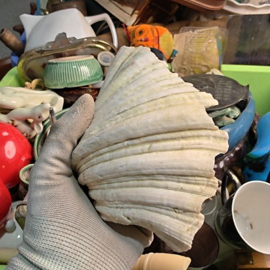 家***）衣服啊啊啊啊啊啊啊啊