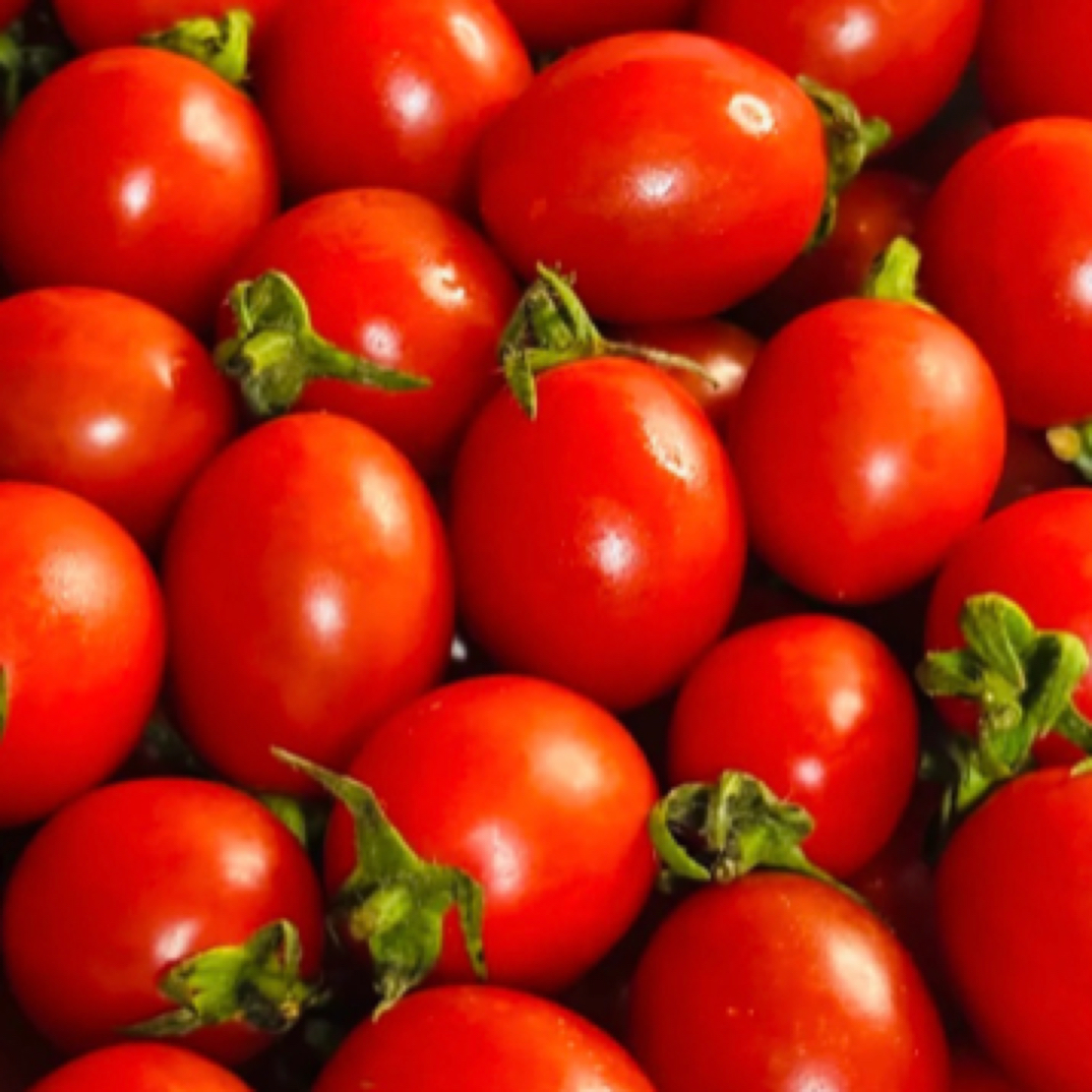 玲珑小千禧小番茄9.9一斤小番茄