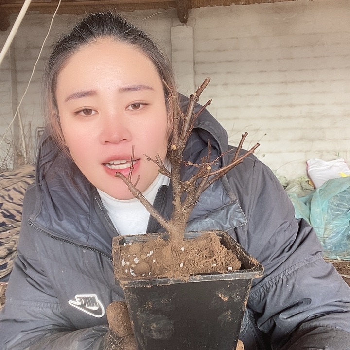 完全开放秋*1111111111