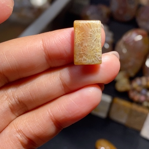 【闪购商品】硅化玉颈饰未镶嵌