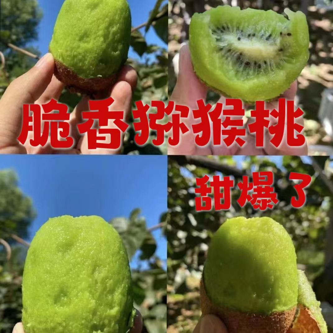 正宗陕西绿心猕猴桃新鲜水果香甜多汁软糯可口