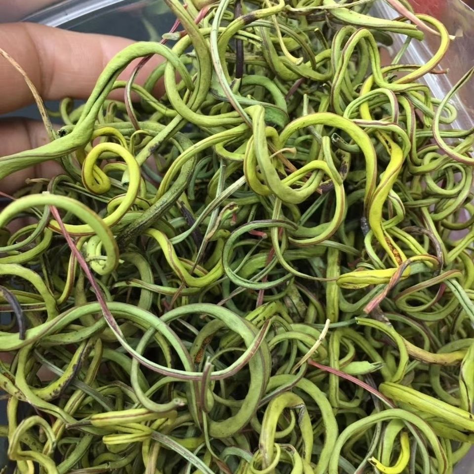 东北特产天然化石草长白山泡水化石草深山生长无硫新货搭枸杞泡茶