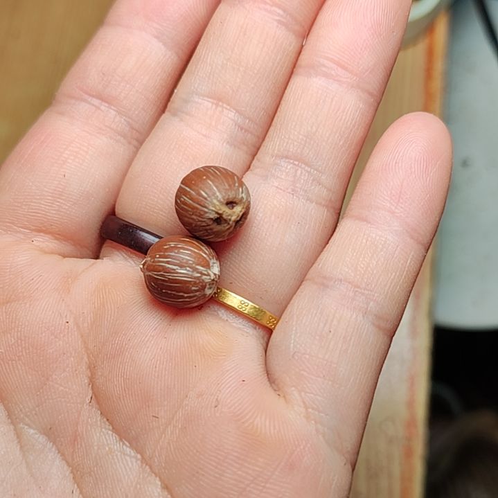 紫金鼠吊坠88888888888888