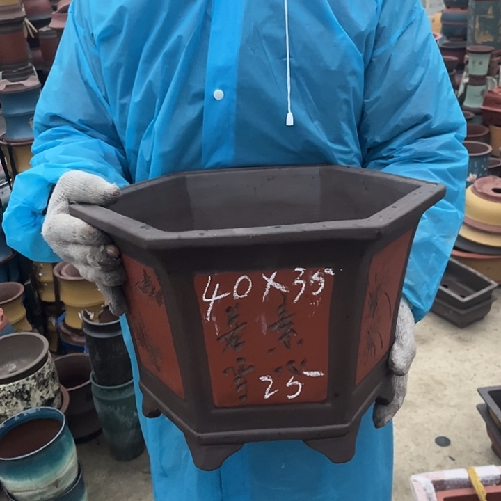 紫砂紫砂花盆和一条