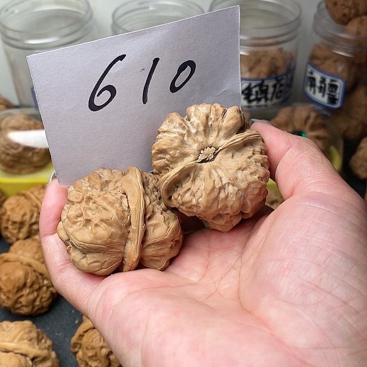 *****核桃蛤蟆的眼睛也太漂亮