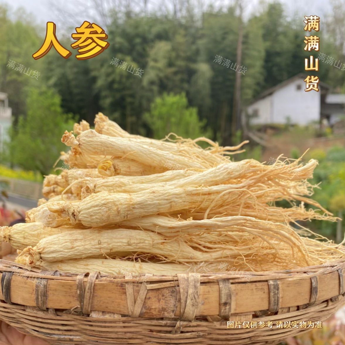 满满   -   人参