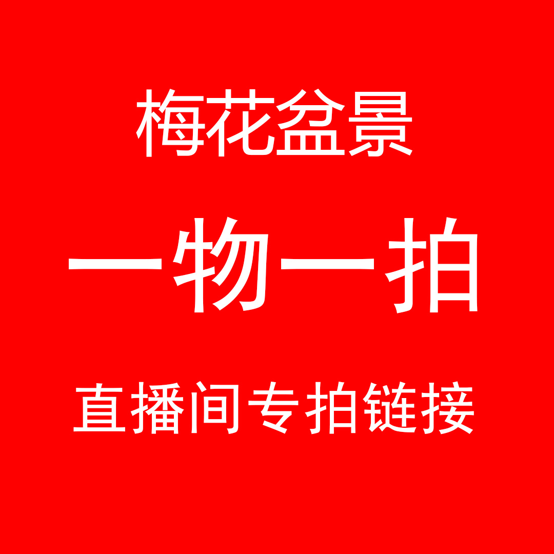【直播间一物一拍】梅花盆景花卉耐寒阳台庭院开花好看