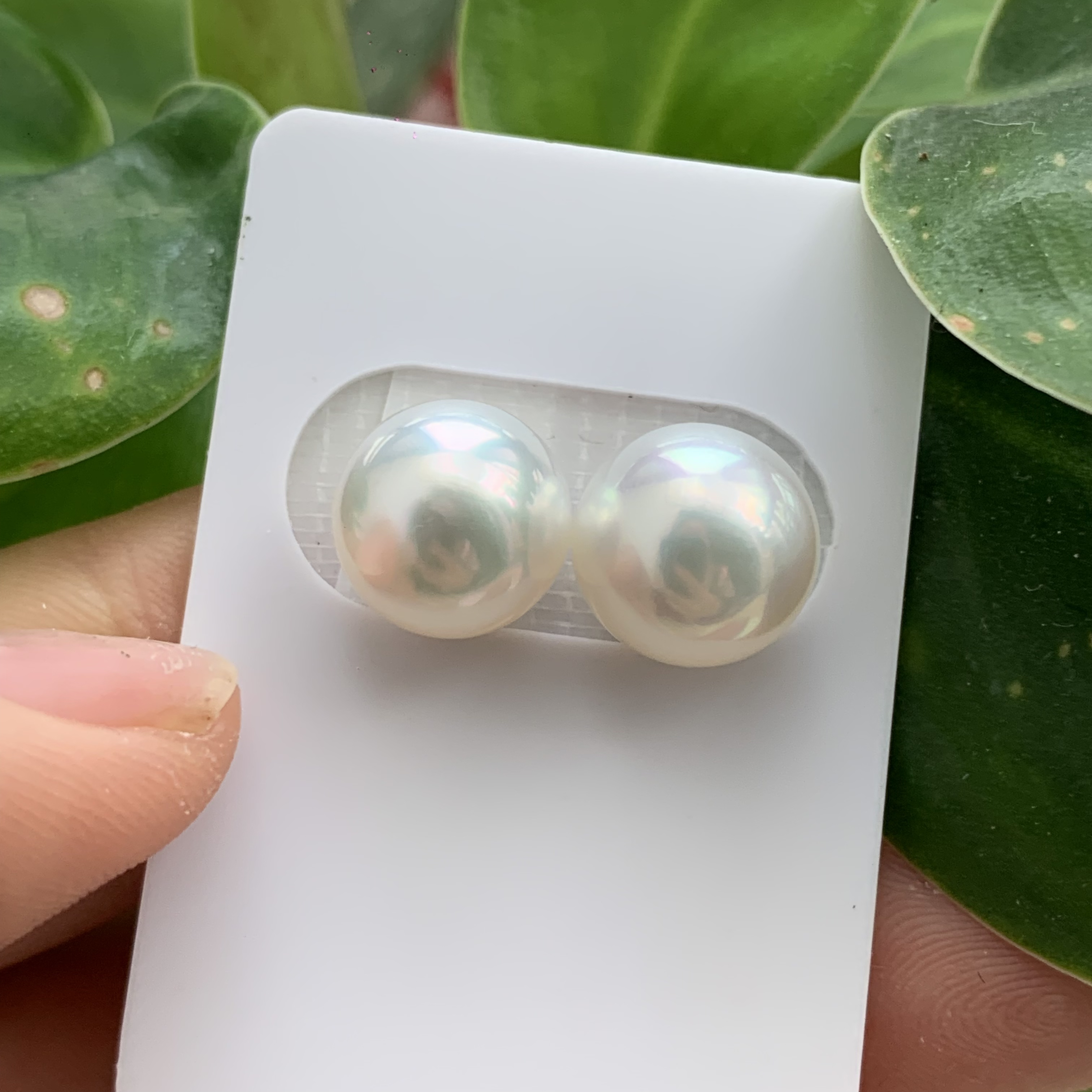 澳白珍珠耳钉小众轻奢气质百搭12-13mm