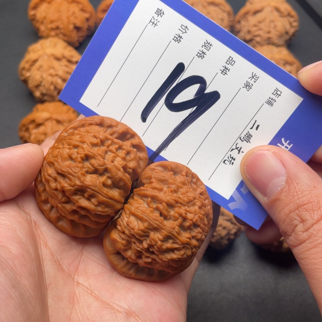 文玩核桃把件白狮子45